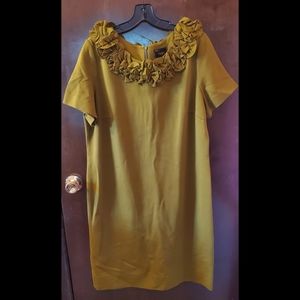 Taylor Woman knit dress